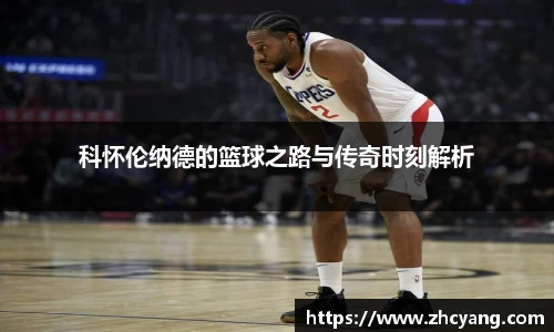 华体育hth官网登录