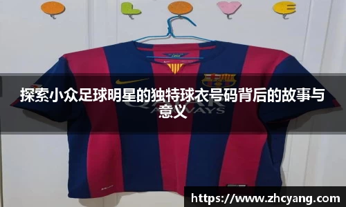 华体会hth体育登录