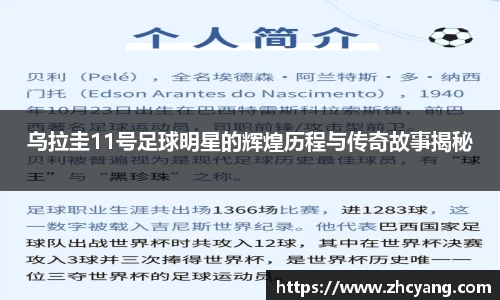 华体会hth体育登录