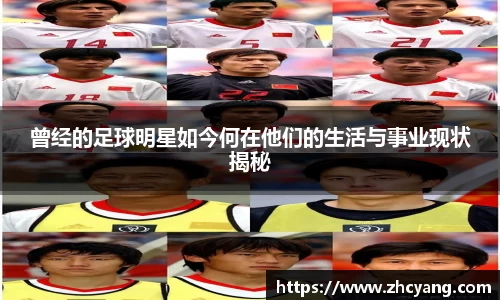 华体会hth体育登录