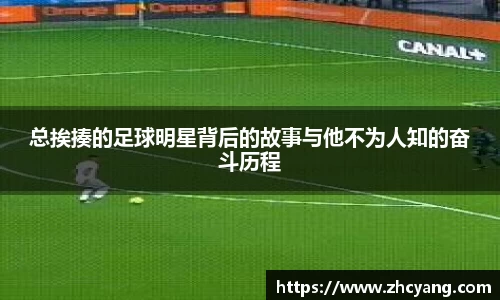 华体会hth体育登录