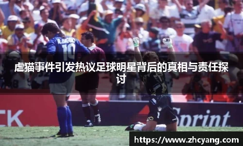 虐猫事件引发热议足球明星背后的真相与责任探讨